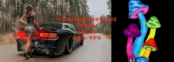прущая мука Балахна